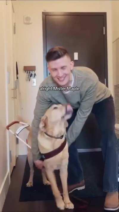 Guide dog gets to play after work