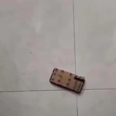 BeelcitosMemes - Video #9759