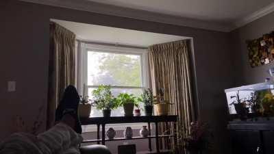 Just came out of nowhere Buffalo.NY