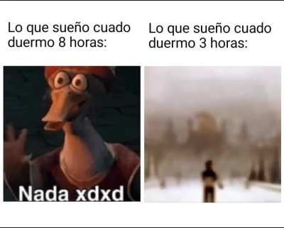 Bro no puedo ser el unico💀