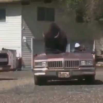 Who needs a transport truck when you have a convertible