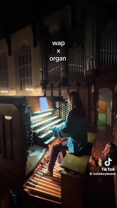 Literally art Megan ft Phantom of the Opera ✨️