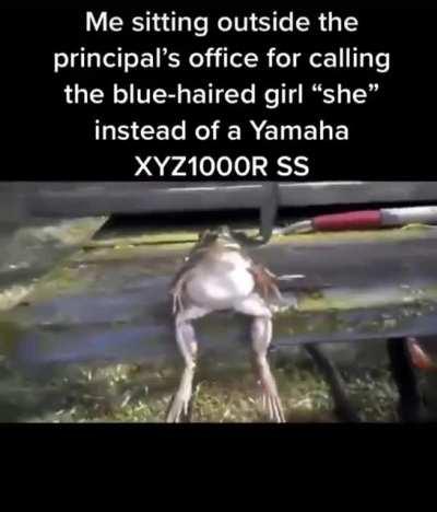 I find this annoyingly true