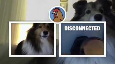 Esse vídeo é incrível ri muito