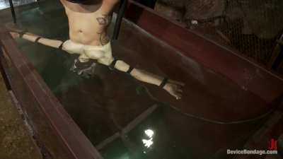 Normal orgasms... fun, but bound, upside down, submerged in water orgasms? Heavenly!!! Scream all you want toy, you just get more amusing by the second