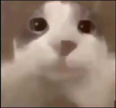 Mom's hand when i forget and come too close to the door: