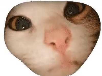 POV: you're the last treat in the bag