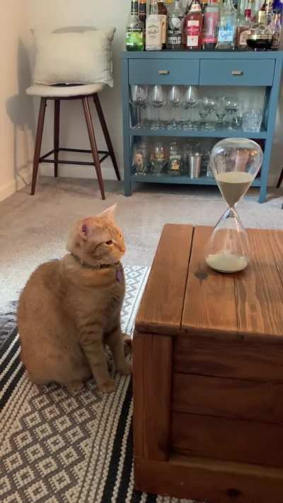 Can’t compute why poo sand is in glass