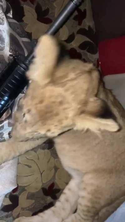 The most normal day in Iraq