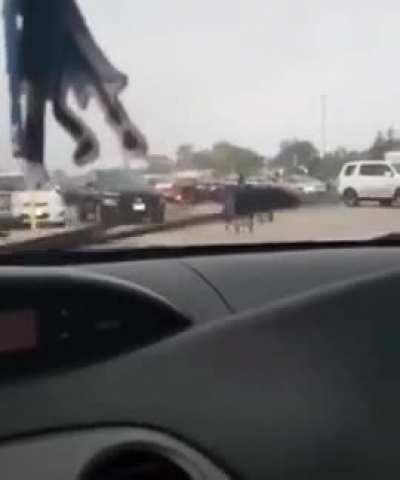 Attack of The Dead Shopping Carts.