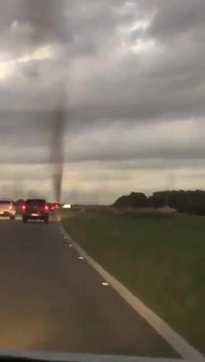 Cuanto raid hace falta? Tornado de mosquitos en Pinamar.