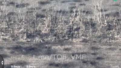 Close combat: Russian marines storm the trenches of Ukraine army near Ugledar