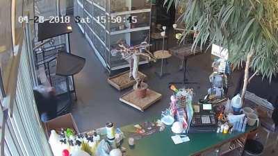 Thief tries to snatch a parrot form the pet shop but instead gets beatdown by 70-year-old owner!
