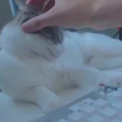 edit d la pecky 😳🙏🛐🛐