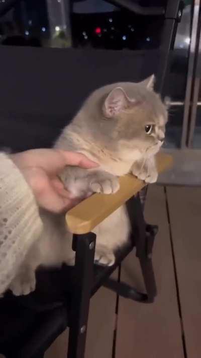 What is he thinking!!
