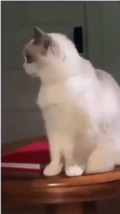 She doesn't handle attention well