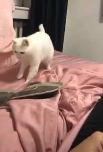 Officially holding the Guinness world record for most startles in 15 seconds.