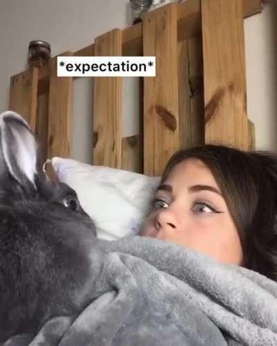 Expectation Vs Reality with pet 😆😆