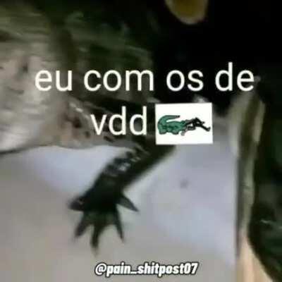 Só a gang 🐊🐊
