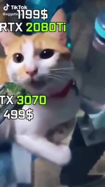 RTX 2080 Ti in 2020