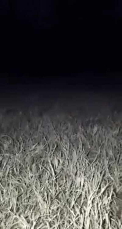 My heart is pumping just a bit faster now