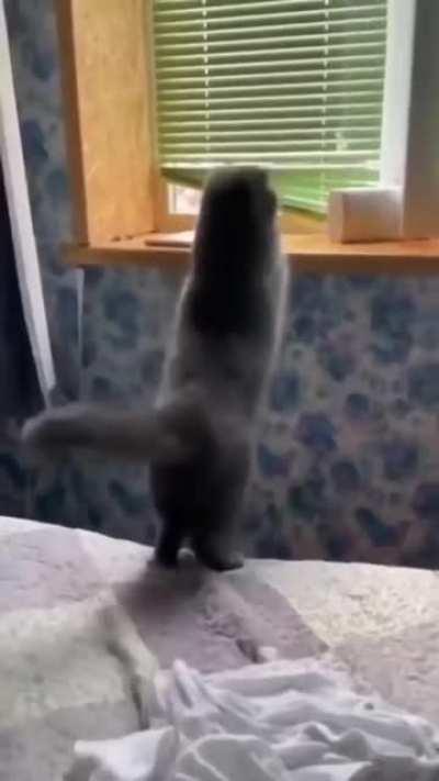 i can do this... in 1-2-3------