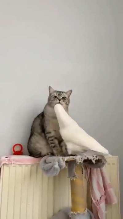 Make a bold move and tell your crush how you feel