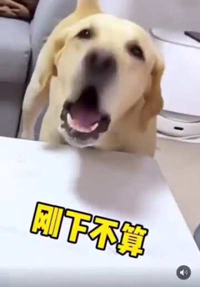 I wanted to see his reaction 😂