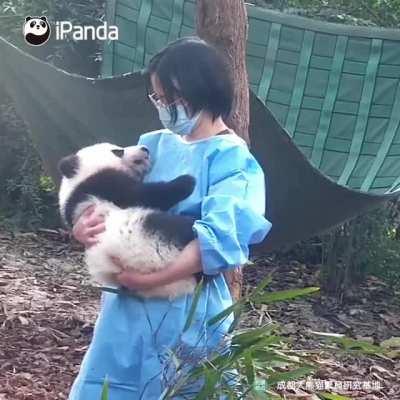 The best job in the world