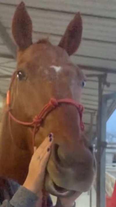 Apache and I discovered something yesterday...