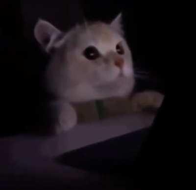 When you turn on Light Mode wrongly