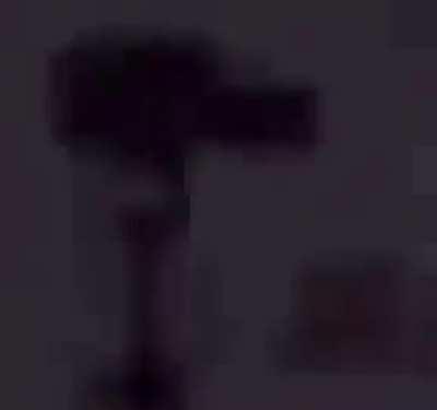 Spidey boutta get his web shot