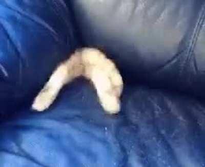 Teleporting to another dimension