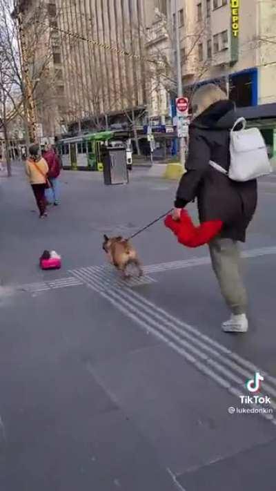 A glimpse of Melbourne when it was open. Remember that?