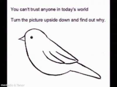 You know the rules and so do I.Posting rickroll until trading is opened,day 3.