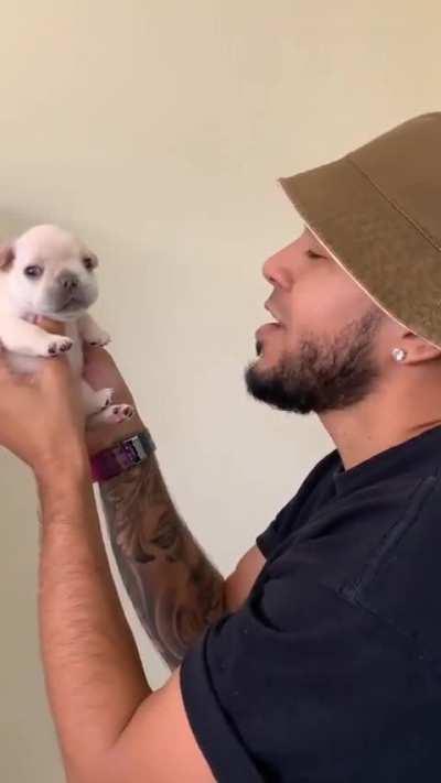 just a tiny awoo..ee