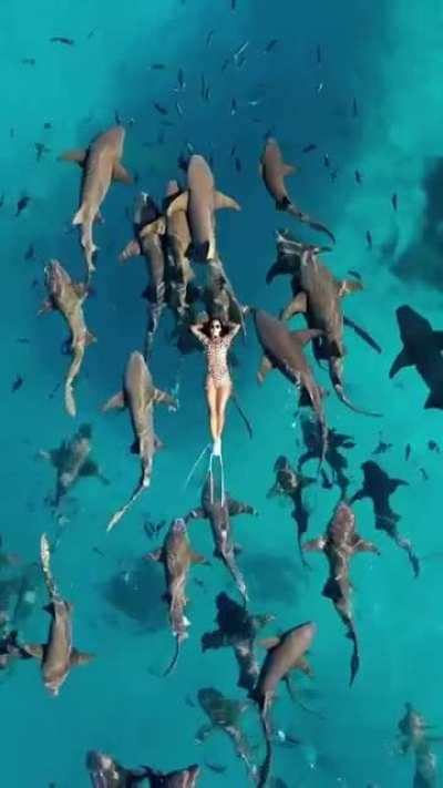 imagine something big creeping up from the bottom