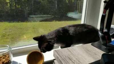 Мы не можем ждать милостей от человека. Взять их у него - вот наша задача