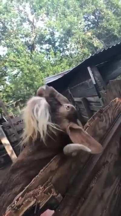 Okay, buddy! don't get upset or anything...