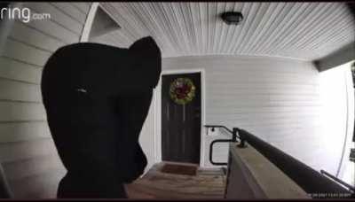 Not Duval related but I hope bro get off easy