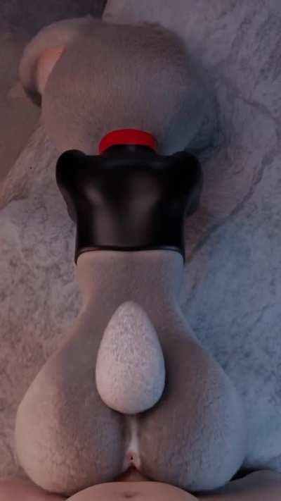 Bunny bouncing on dick