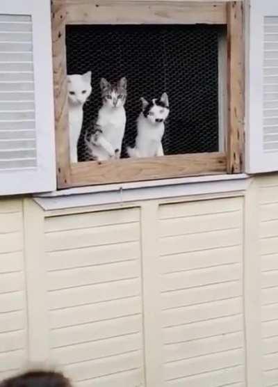Spectators watching at a sporting event