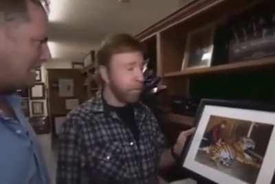 Chuck Norris and the tiger