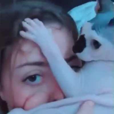 Self-destruct Activated