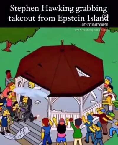 Stephen Hawking Epstein Island Incident
