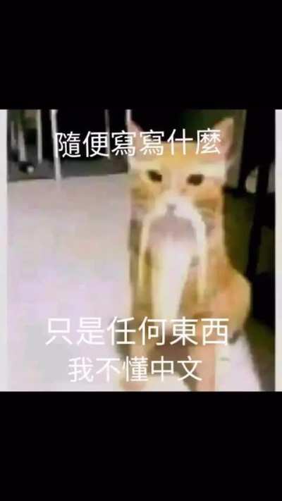 전적으로 동의해요 🇧🇩💙👌