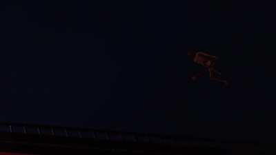 I love the new ragdolls