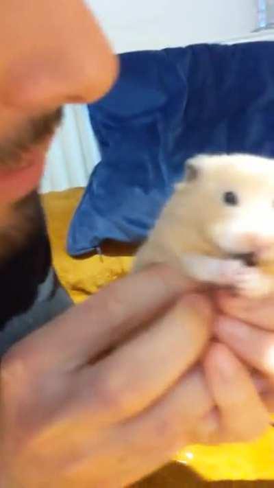 He cares about nothing while eating. You can hear me squeaking with happiness in the background.