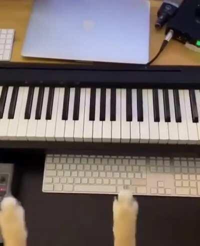 Doge hits the $ 0.6 let's celebrate!!!