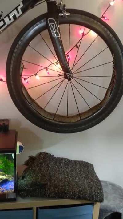 You've got to get on the bike when you eat as much as she does.